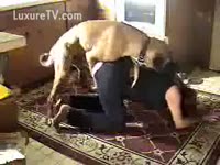 Free zoophilia videos dog banging her owner